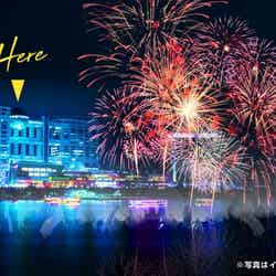 お台場クリスマスナイトアウト/画像提供:TryHard Japan