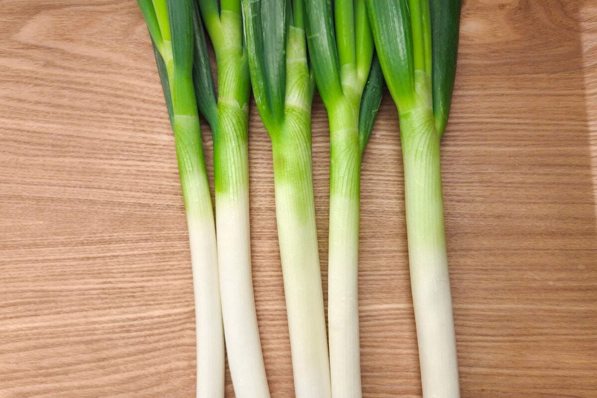 青ねぎ
