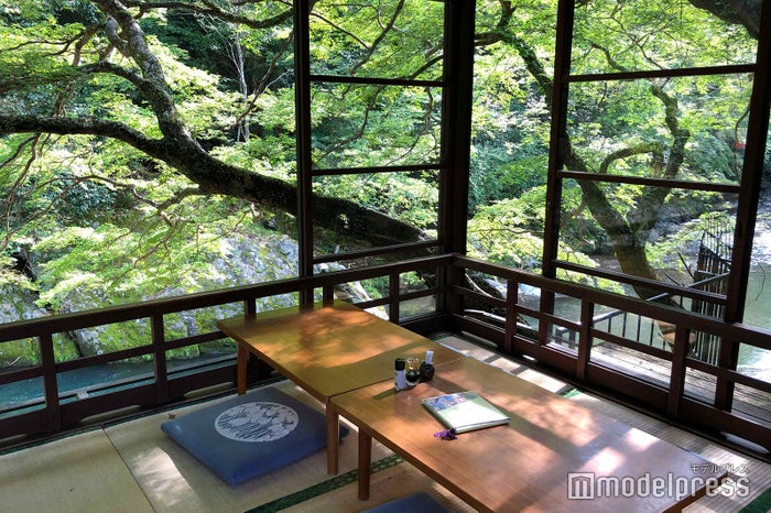 とが乃茶屋（C）ビューティーガール