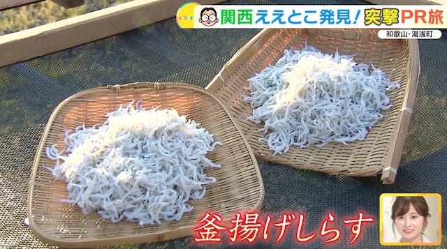 【和歌山】気になるグルメがいっぱい♡