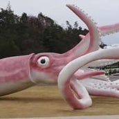 ベルギーの農家 うっかり領土 拡大 国境の標石動かす モデルプレス ベルギーの農家 うっかり領土 拡大 国境の標石動かす モデルプレス