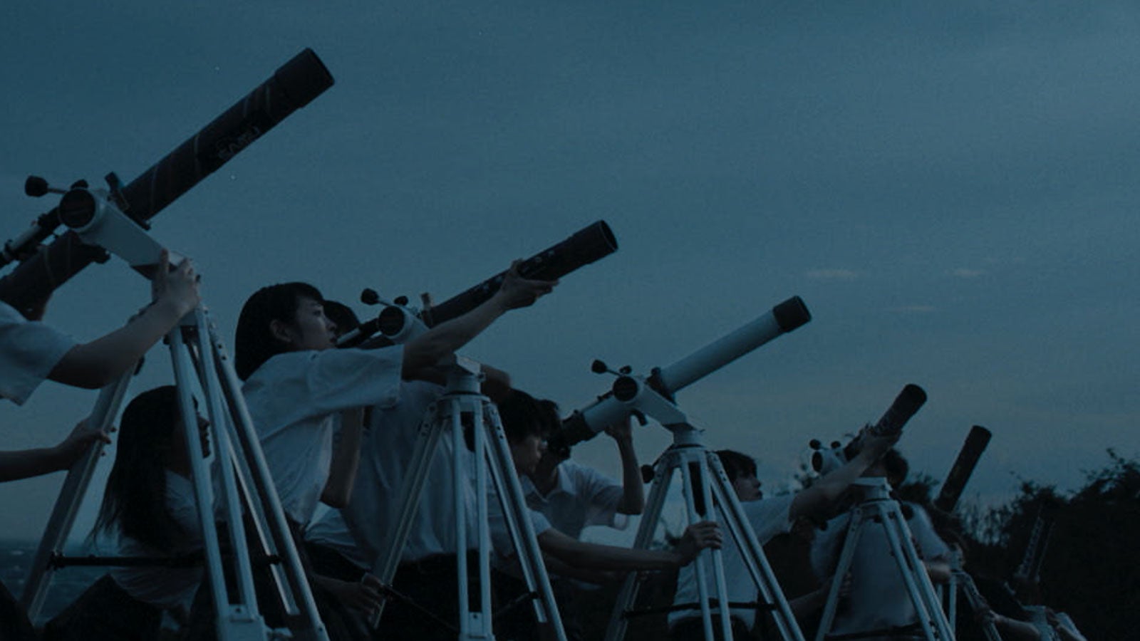 『この夏の星を見る』（C）2025「この夏の星を見る」製作委員会