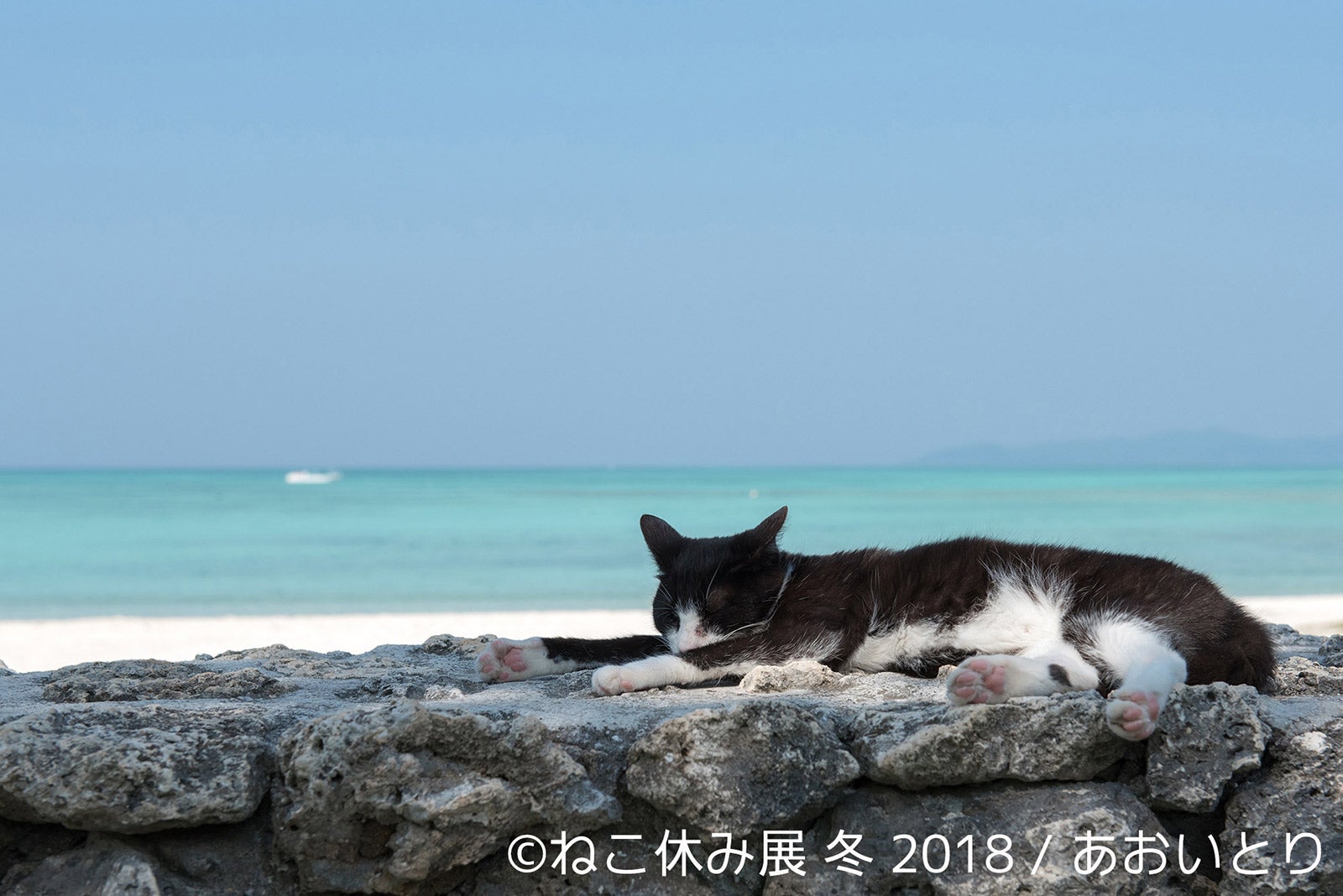 展示作品／画像提供：株式会社BACON