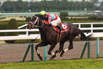 【天皇賞・春】ディープボンドが3.8倍で1番人気 アリストテレス ...