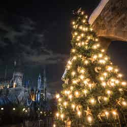 魔法のクリスマス・ツリー/画像提供:ユー・エス・ジェイ