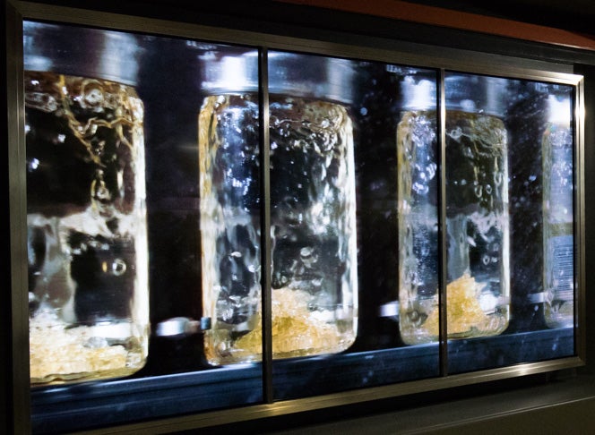 一番搾り目線の映像にワクワクが止まらない！（提供画像）