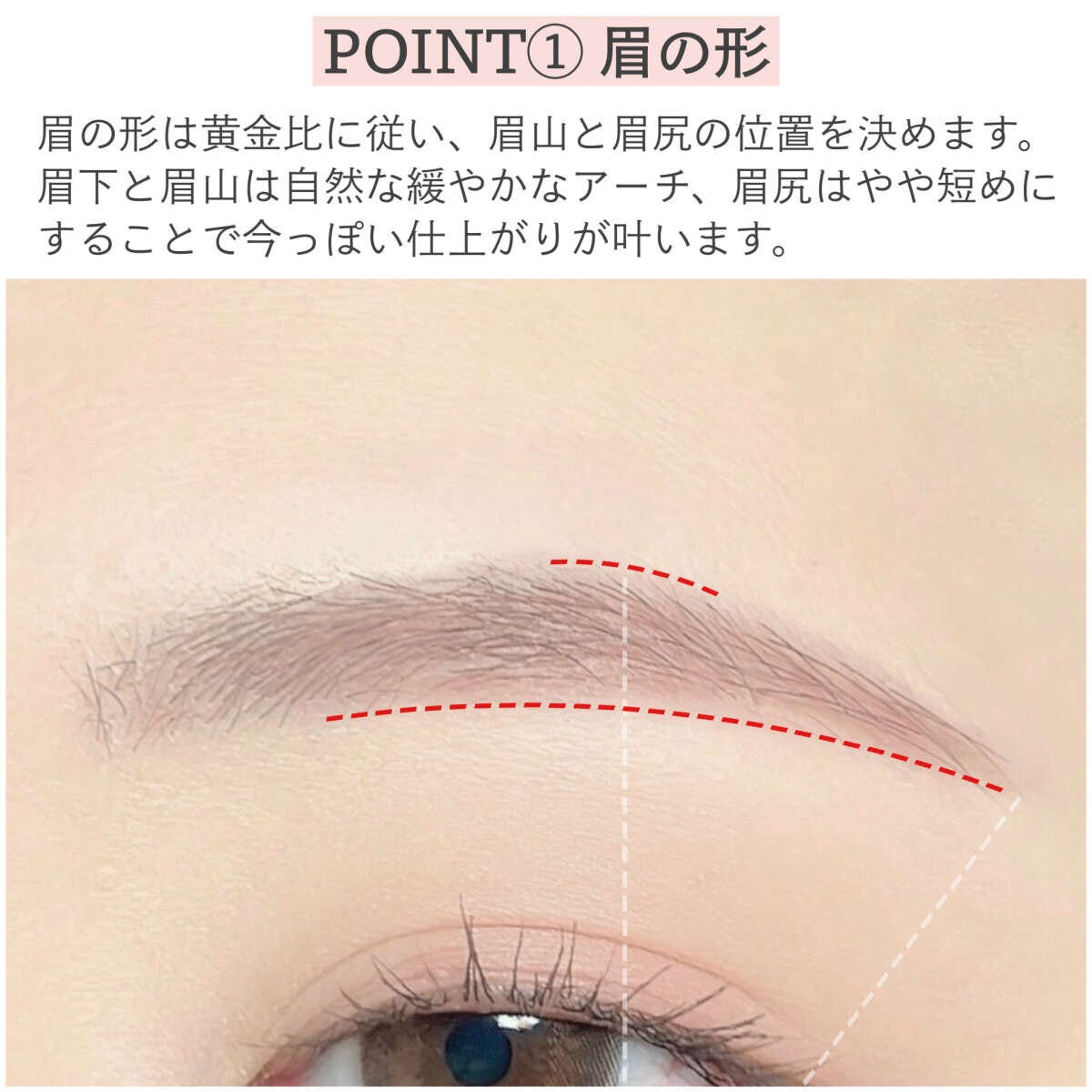 眉の形を整えるポイントを示す赤い破線が引かれた眉のアップ 眉の形を整えるポイントを示す赤い破線が引かれた眉のアップ