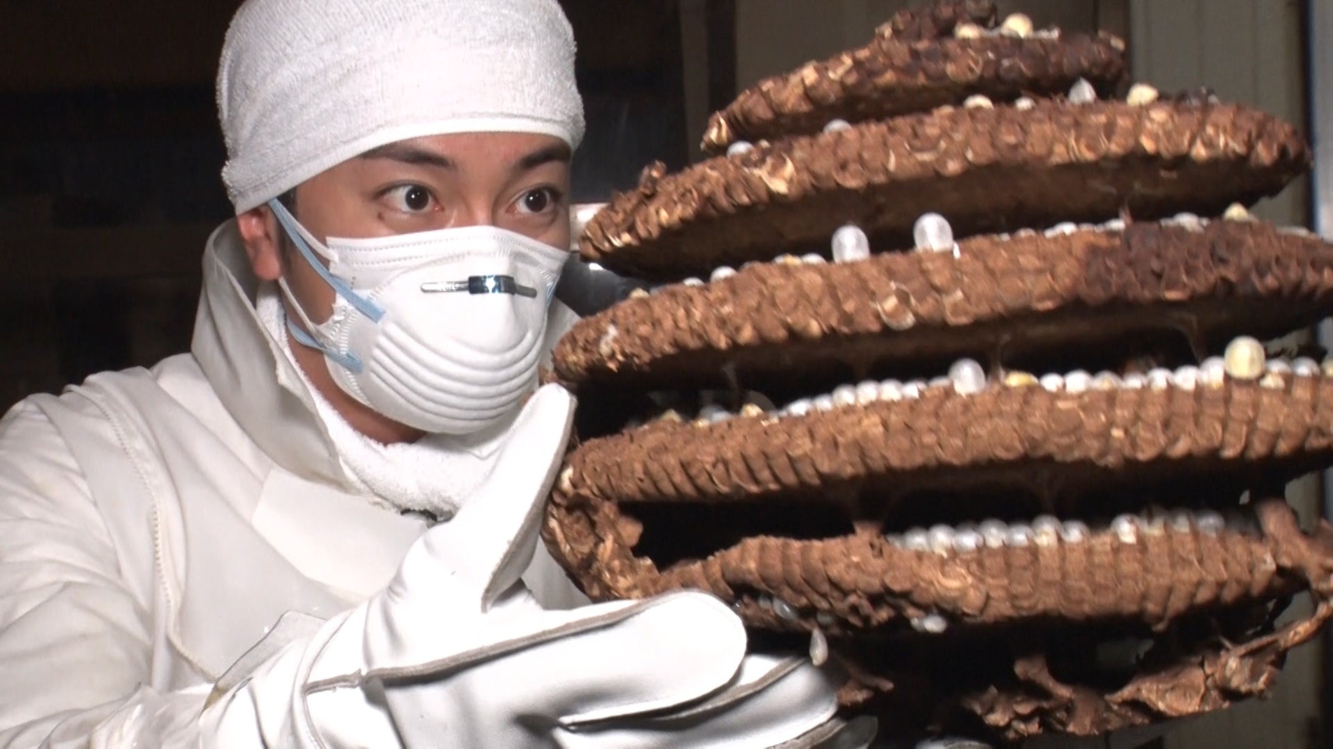 河合郁人（C）テレビ東京