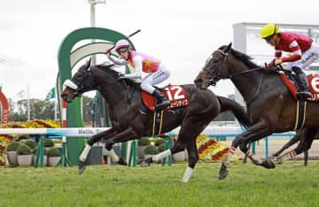 京都記念を制したジューンテイクは武豊との新コンビで金鯱賞へ向かう