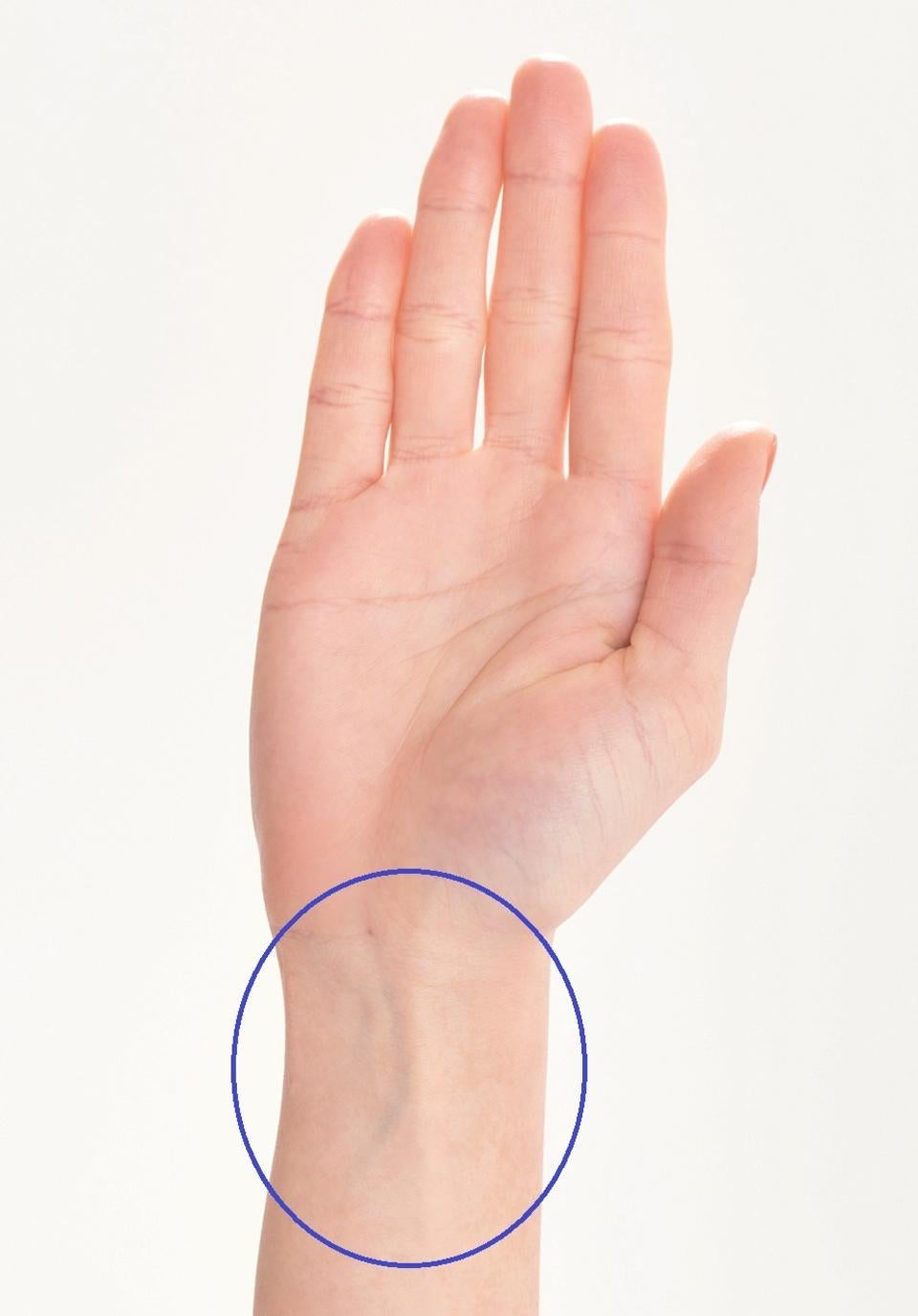 yuzu-collection-content-2498-1524138502.