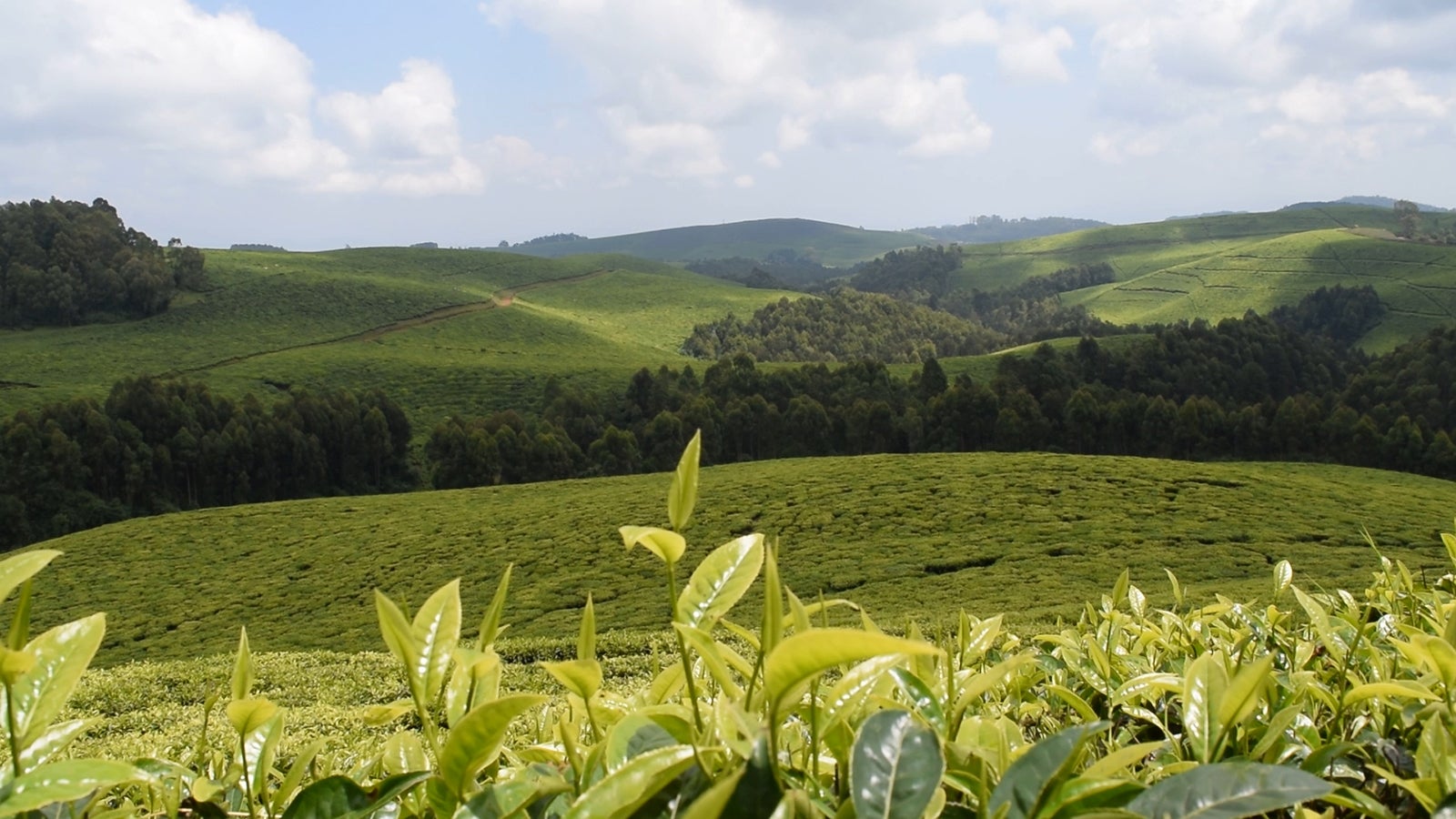 「あいのり：African Journey」第11話より（C）フジテレビ