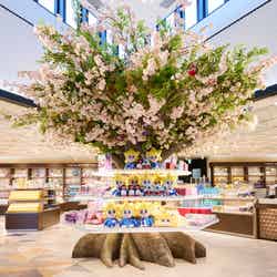 「SKYTREE SHOP」桜のシンボルツリー(C)TOKYO-SKYTREE