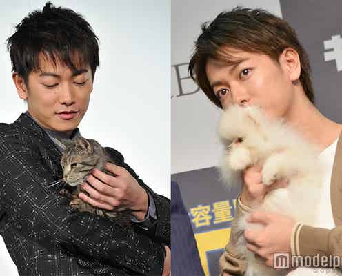 「佐藤健×動物」にもん絶する女子続出 猫の次はふわふわ“ギガちゃん”を抱っこ