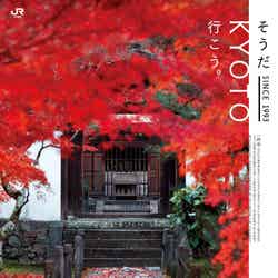 一休寺/画像提供:東海旅客鉄道