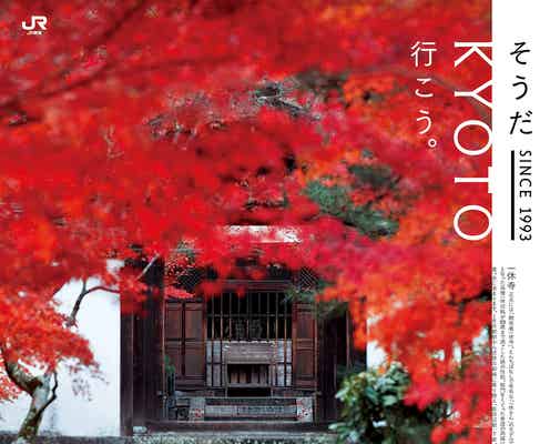 2018年秋「そうだ 京都、行こう。」ロケ地はここ!紅葉色づく「一休寺」