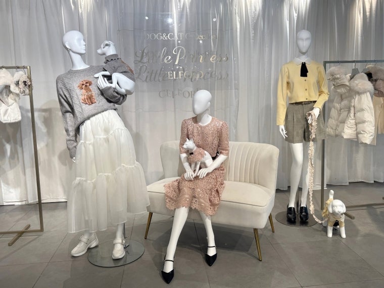 「セルフォード」 26年秋から犬猫用の新ライン