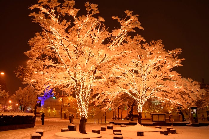 弘前エレクトリカルファンタジー／画像提供：弘前市