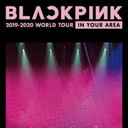 BLACKPINKのLIVE Blu-ray ＆ DVD「BLACKPINK 2019-2020 WORLD TOUR IN YOUR AREA-TOKYO DOME-」通常盤DVD（提供写真）