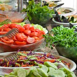 サラダバー/画像提供:クリエイト・レストランツ・ホールディングス