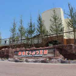 那須どうぶつ王国/提供画像