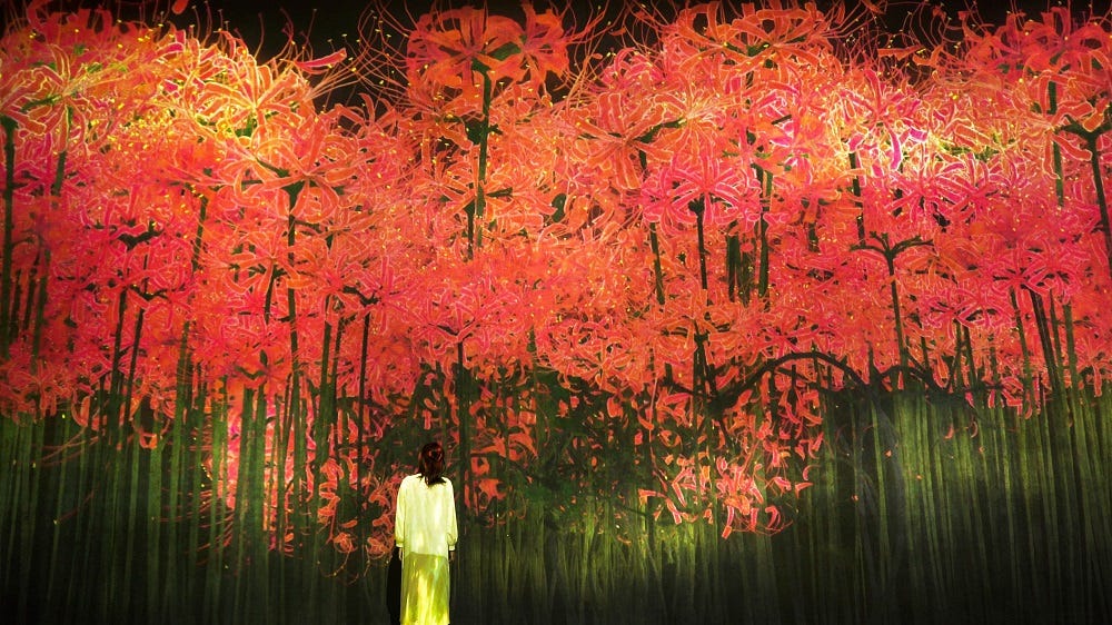 お台場「チームラボ ボーダレス」秋色に染まるアート展示、紅葉や彼岸花の景色広がる