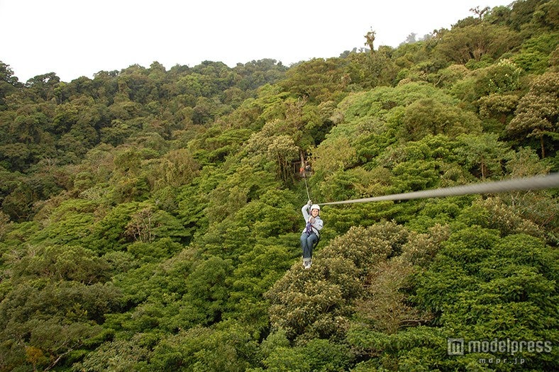 アトラクション：「メガジップライン」／画像提供：福井県池田町役場開業準備室