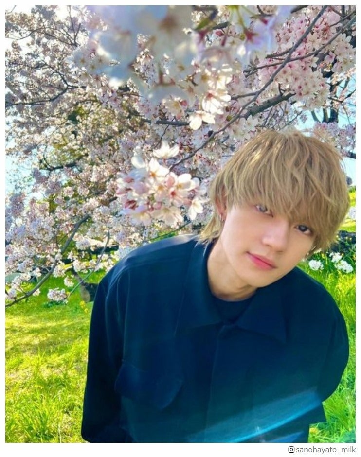 佐野勇斗、銀髪から“不意打ち金髪姿” 桜の下でのオフショットにファン悶絶「ビジュ爆発」｢桜も勇斗くんも美しい」
