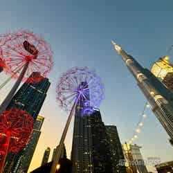 ドバイの街並み(C)モデルプレス