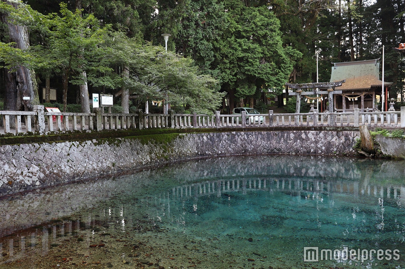 日本の名水百選に認定されている「別府弁天池」（C）モデルプレス