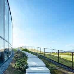 屋上庭園「見晴らしの丘」/提供画像