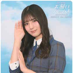 ドアステッカー(全20種)/提供画像