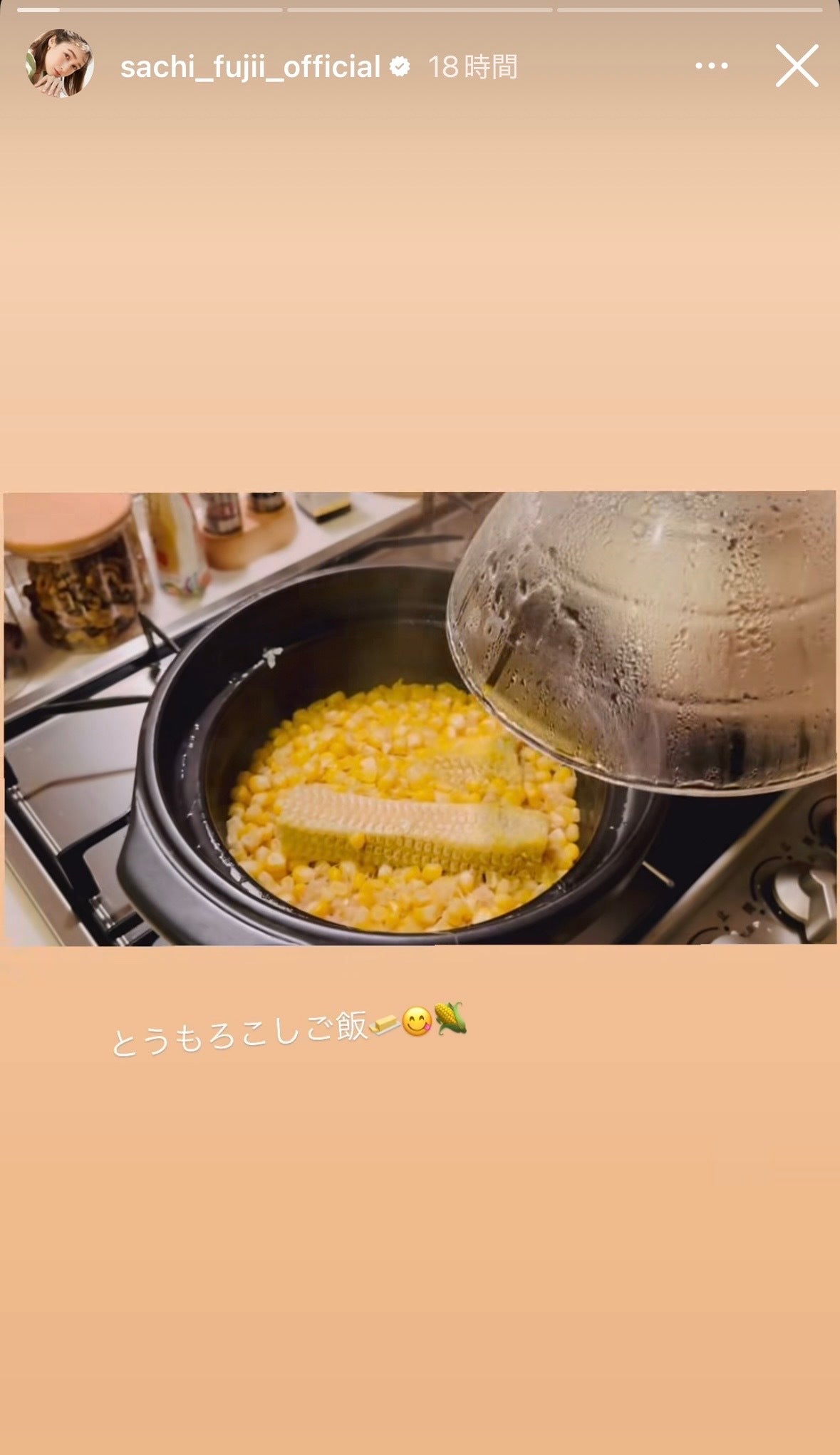 藤井サチInstagramストーリーズより