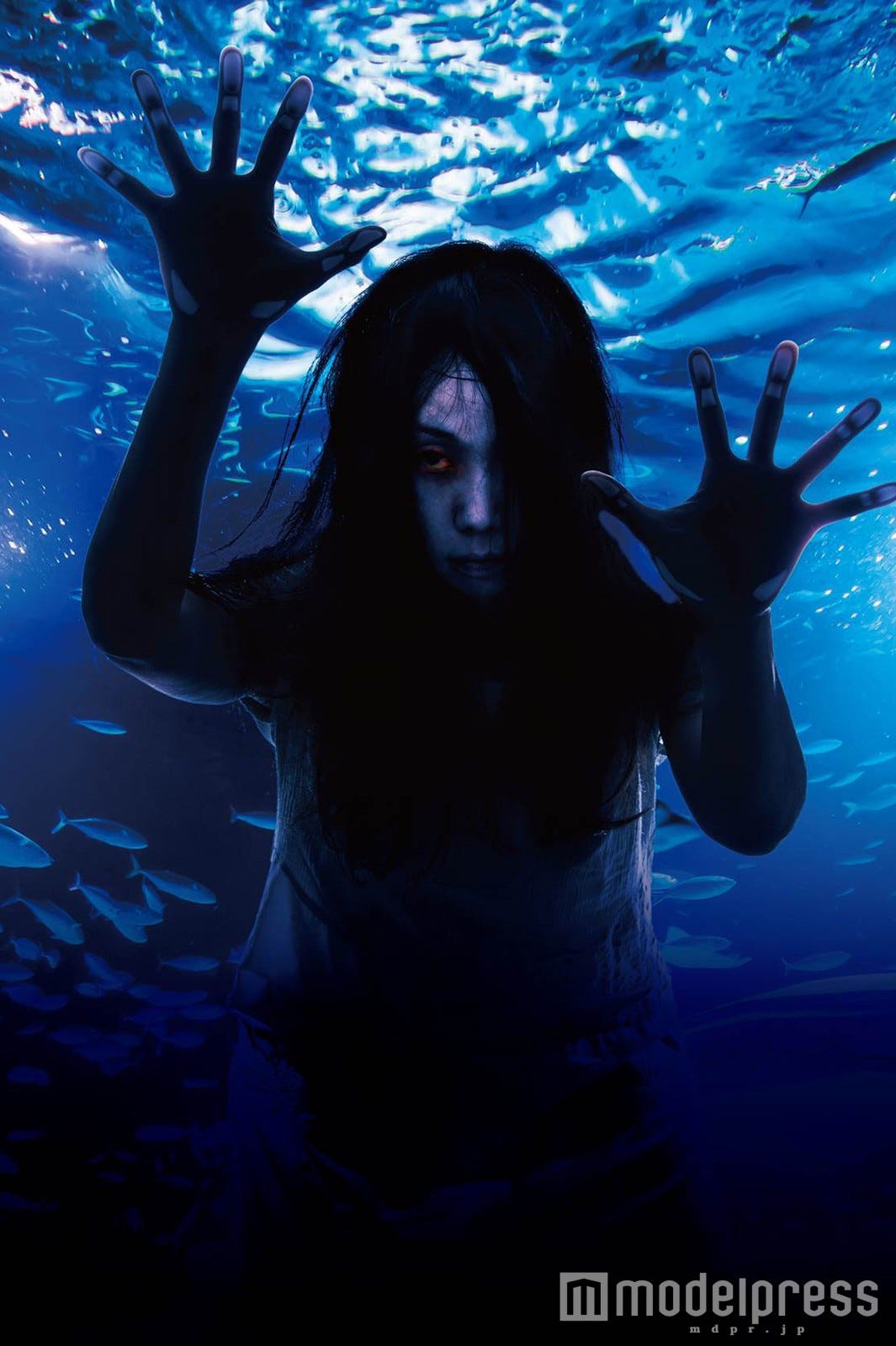 恐怖が視覚と聴覚を支配 夜の「サンシャイン水族館」が呪いのホラー空間に