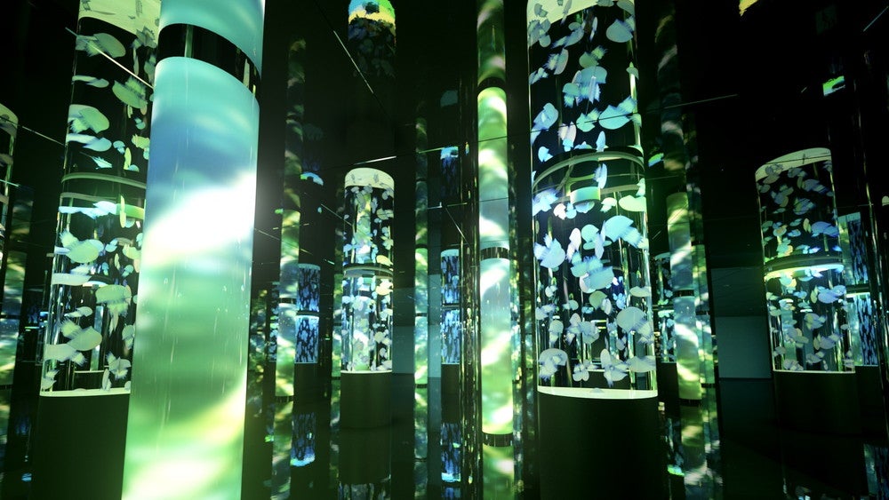 DMMかりゆし水族館／画像提供：DMM.com