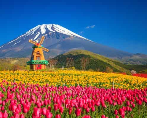 週末何する?次の休みに行くお出かけスポット10選vol.73