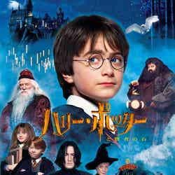 ハリー・ポッターと賢者の石/Harry Potter characters, names and related indicia are trademarks of and © Warner Bros. Entertainment Inc. Harry Potter Publishing Rights © J.K.R.© 2026 Warner Bros. Entertainment Inc. All rights reserved.