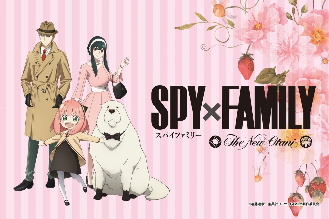 （C）遠藤達哉／集英社・SPY×FAMILY製作委員会