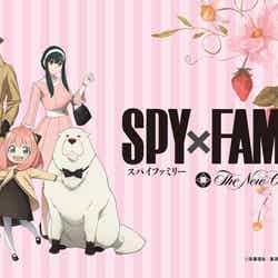 (C)遠藤達哉/集英社・SPY×FAMILY製作委員会