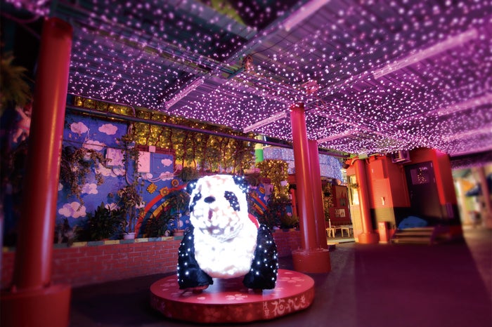 アトラクション10種が乗り放題 浅草花やしき でイルミ輝く大晦日カウントダウン 女子旅プレス