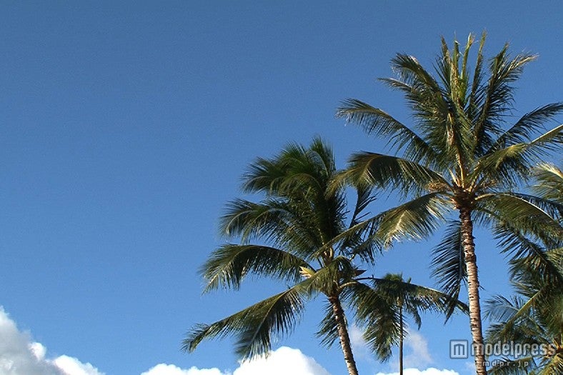 ハワイの風景／画像提供：毎日放送