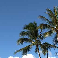 ハワイの風景／画像提供：毎日放送