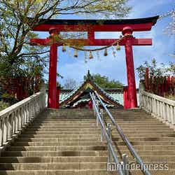 高尾山薬王院(C)モデルプレス