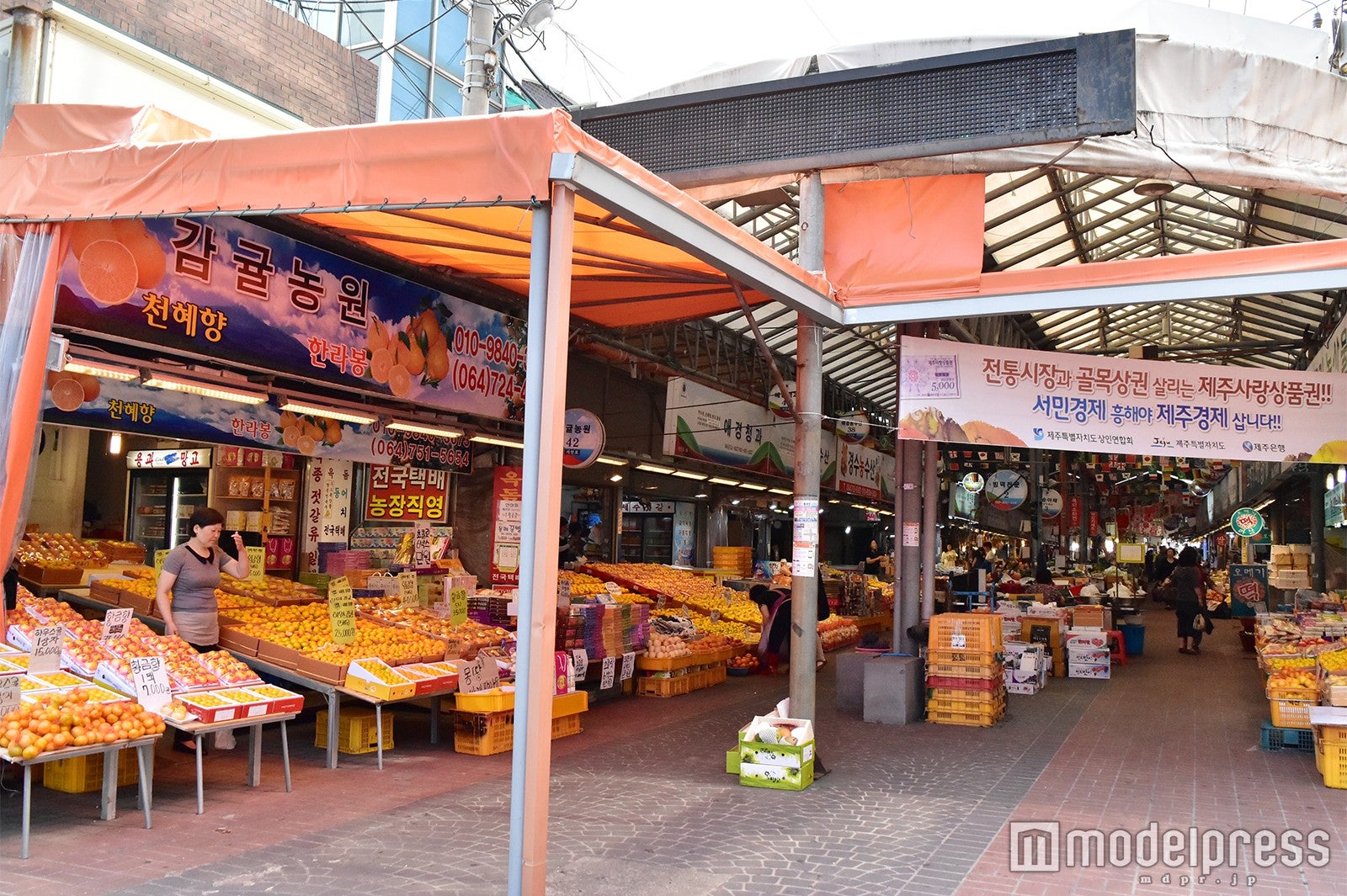 チェジュ島の市場（C）モデルプレス