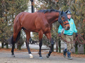 【新馬戦】マスターストーン 光り輝け！ダイヤの原石 重賞3勝馬ノットゥルノの半弟 570キロほどの大型馬に高野助手「ポテンシャルある」