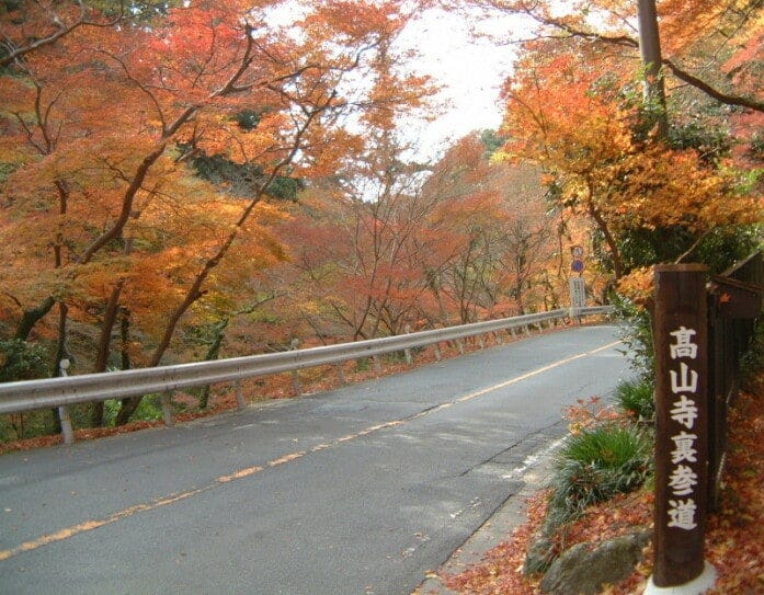 栂ノ尾バス停からすぐ、高山寺の裏参道入口で見かけた紅葉・黄葉。美しさに思わず目を奪われます（2002年11月22日撮影）