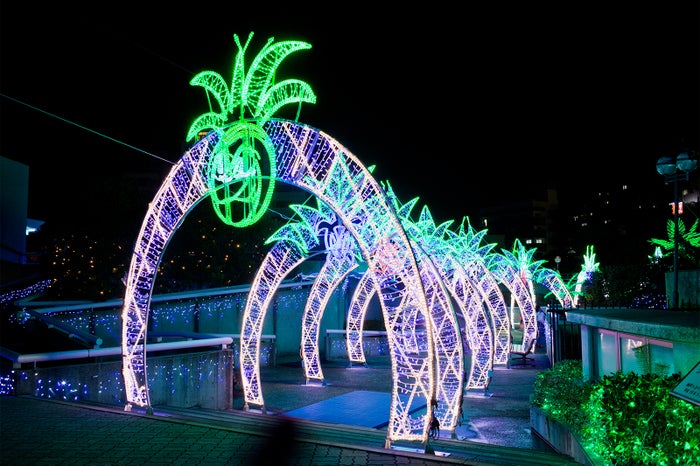 神戸でハワイ気分の夏イルミ 幻想的な夜の水族園でマッピングやヨガ体験 女子旅プレス