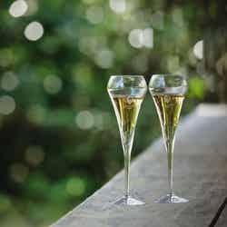 紫翠 ラグジュアリーコレクションホテル 奈良/提供画像