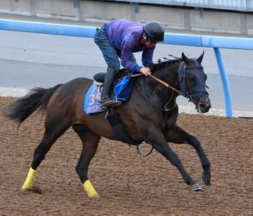 【マイラーズC】シックスペンス 陣営は慎重姿勢 山崎助手が厳しいジャッジ「走りの姿勢が気になる。内容に納得いかない」 