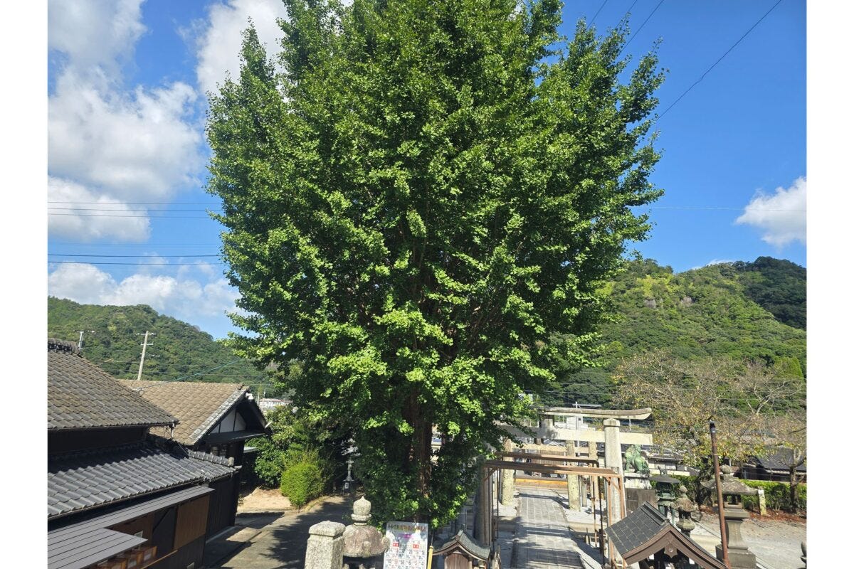 陶山神社