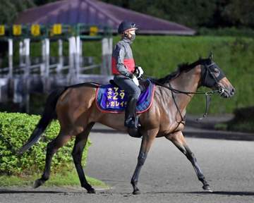 【有力古馬次走報】G1.3勝馬レガレイラは天皇賞・秋へ 新潟記念覇者ゾロアストロは天皇賞・秋を見送り ローシャムパークは一気に1マイル延長でステイヤーズSへ